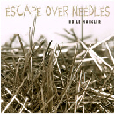 Escape Over Needles.jpg